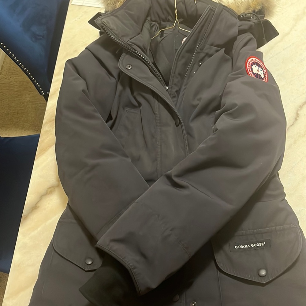 Small Canada Goose